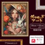 AM-526 ダイヤモンドアート 少女 うさぎ 絵画 ダイヤモンド刺繍 キット  ビーズ アート