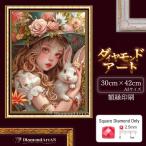 AM-527 бриллиант искусство девушка ... картина бриллиант вышивка комплект бисер искусство 