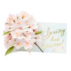  поздравление жизнь Sakura карта pop up someiyo инструмент для проволоки LY-29