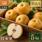 日本梨 訳あり おまかせサイズ 5kg 九州産 市場直送 梨 和梨 フルーツ