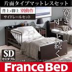 電動ベッド 介護 セミダブル フランスベッド 電動 ベッド