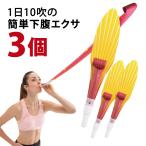  Super Long pillow pillow . тип .. Exa длинный pillow pillow (E) 3 шт. комплект 