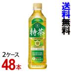 「サントリー緑茶 伊右衛門 特茶（特定保健用食品）　PET500ml」　2ケース（48本）-000008