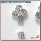 ���ꥹ���륹�ȡ��� Silver�¶��դ�SS12 5γ ����ǥ���˥���դ���