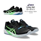  волейбол обувь low cut SKY ELITE FF LO 2 Sky Elite наилучший образец модель asics Asics мужской 1051A064 005 [ бесплатная доставка ]