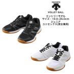 【送料無料】 バレーボールシューズ DESCENTE デサント STELLA DIVA LO 6 DV1XJB01 | ステラディーバロー ローカット バレー シューズ ジュニア レディース