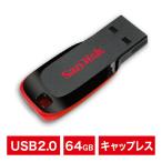 USB память 64GB SanDisk SanDisk USB2.0 Cruzer Blade USB Memory SDCZ50-064G-B35 кошка pohs рейс рассылка ограничение 12 пункт до 