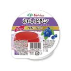 �ϥ������ʳ������ ���������ӥ��ߥ󡡥֥롼�٥꡼��̣��60g ���㥫���꡼���꡼���JAPITALFOODS��(����󥻥��Բġ�