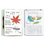 アーテック 透明掲示ホルダー A4