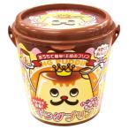 ピーナッツクラブ バケツでつくる!キングプリン KA-00182 超ビッグサイズのプリンに挑戦!