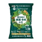  Pro to leaf салон предназначенный . лист * много мясной земля 7 номер горшок для 3.5L