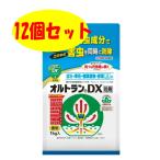  gold cho- садоводство oru тигр nDX шарик .1kg 12 пакет комплект 
