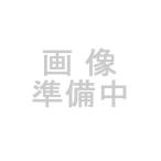 サカセ　仕切板 カセッターB5タイプ用（引出4マス）ヨコ　HB5-004仕切板ヨコ　4948349136201