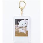 [ почтовая отправка рейс ] Fuji плёнка Cheki для фото брелок для ключа Gold .. Cheki товары 