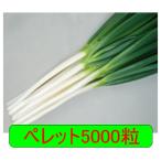 [ поступление последовательность отгрузка ]ka кошка вид рассада лето место pe let 5000 шарик 