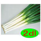 [ поступление последовательность отгрузка ]ka кошка вид рассада ...2dl