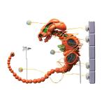 送料無料◆再販 figma R-TYPE ドブケラドプス FREEing フィギュア 【7月予約】