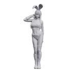ハセガワ 1/12 12リアルフィギュア コレクション No.45 “バニーコスプレ” ガレージキット SP676 【2月予約】