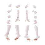  Aoshima .. pra KO-02RKM arm & нога детали комплект 01(kaoma колено цвет ) пластиковая модель опция детали [6 месяц предварительный заказ ]