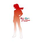 ハセガワ 1/12 『キューティーハニー』 ハリケーンハニー ガレージキット SP720 【12月予約】
