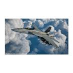ハセガワ 1/72 『ACE COMBAT 8：WINGS OF THEVE』 F/A-18E スーパー ホーネット “ジョーカー隊” 最新作 エースコンバット8 プラモデル SP713 【11月予約】