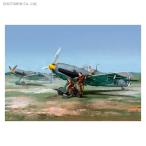 ウィングジーキット 1/48 「コンドル軍団」 Bf109E-1/3 デュアルコンボ リミテッドエディション プラモデル WNKD5-09 【11月予約】