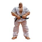正規品『範馬刃牙』アクションフィギュア 愚地独歩[ストームコレクティブルズ] 範馬刃牙』 アクションフィギュア 愚地独歩 [ストームコレクティブルズ