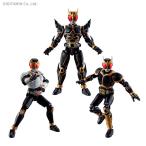 バンダイ SO-DO CHRONICLE 仮面ライダークウガ2 食玩 （1BOX）（ZT73974）