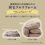  создание Meiji 14 год невеста хлопчатник пуховый футон полный преобразование серии premium course двойной подвеска tenabru655359tinos