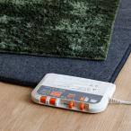 ≪1畳≫電磁波カットホットカーペット本体 季節家電 生活家電 暖房器具 ヒーター 616001