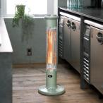 Aladdin/アラジン 遠赤グラファイトヒーター 季節家電 生活家電 暖房器具 ヒーター 610104