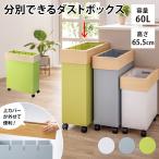 掃除用品 ゴミ箱 キッチン用ゴミ箱 キッチン用 分別 3分別 ≪60L≫ Hanger/ハンガー ダストボックス 813315