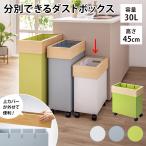 掃除用品 キッチン 分別 ≪30L≫ Hanger/ハンガー ダストボックス 520611