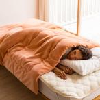 ≪ダブル≫ 【ディノス限定販売】ヒートループ（R）ハイパー 中わた入り発熱毛布 増量タイプ 毛布 掛け毛布 ブランケット 623516