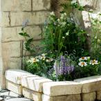  глубина. есть elegant забор 2 листов комплект G03616tinos