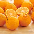 ショッピングデコポン 熊本産 屋根掛け 「デコポン」 5？ 野菜 果物 フルーツ FK1509