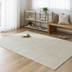 ≪約160×230cm≫ 消臭・抗菌ファブリーズカーペット カーペット ラグ マット カバー 625902