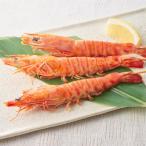 大車海老の塩焼き 8尾 魚 海産物 海�