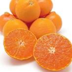 【12月お届け】 愛媛産 「紅まどんな」 2kg 野菜 果物 フルーツ FK0716