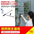 大掃除 窓掃除 年末 スクイジー プロ 簡単 ラク 掃除アイテム 掃除グッズ 窓の汚れ 泥 花粉 黄砂 排気ガス 手垢 ディノス スクイジープロ 特別セット AR2815