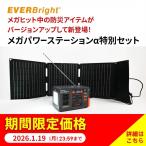 メガパワーステーションアルファ 特別セット 家電 家電小物 バッテリー AR2843