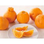 ショッピングデコポン 熊本産「デコポン」（露地栽培） 4.7kg【2月下旬-3月下旬お届け】 野菜 果物 フルーツ FH9801