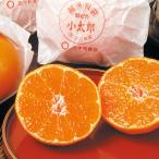  Ehime * запад . мир река сверху производство [ маленький Taro мандарин ]30 шар [1 месяц средний .-1 месяц последняя декада примерно доставка ] овощи фрукты фрукты NH1173