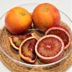  Ehime производство b Lad orange 5kg [2 месяц последняя декада примерно - доставка ] овощи фрукты фрукты NH1553