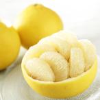  Kochi *. шерсть производство . зима . сверху ..[ земля . помело ] 9kg [2 месяц последняя декада -3 месяц последняя декада примерно доставка ] овощи фрукты фрукты NH1557