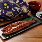 【お中元】「鰻楽」九州産うなぎ長
