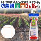  официальный защита от птиц сеть orange 30mm глаз 20 цубо 3.6mx18m 400D сельское хозяйство садоводство для немного глаз. мелкий модель гараж, склад, завод тоже экономический . простой . защита от птиц меры .1 год степени короткий период использование предназначенный 