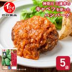  гамбургер 5 пакет томатный соус рефрижератор Kanagawa три . город. капуста . использован гамбургер retort ежедневное блюдо без добавок кулинария подарок .. оставаясь дома Ishii еда официальный isii