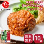  гамбургер 10 пакет томатный соус рефрижератор Kanagawa три . город. капуста . использован гамбургер retort ежедневное блюдо без добавок кулинария подарок .. оставаясь дома Ishii еда официальный isii