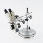 [DW]USED 8 день гарантия NIKON Microscope микроскоп A.L.5 [05036-0074]